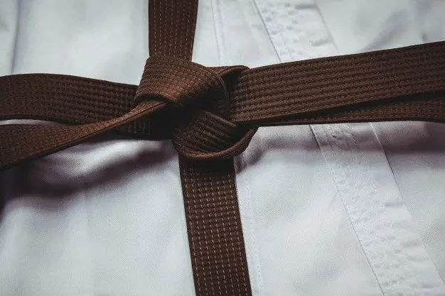 Brown belt makes up the third to first kyu levels in karate.